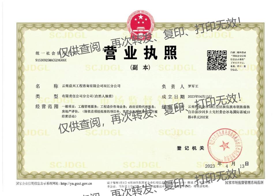 双江分公司营业执照